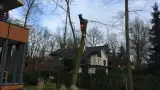 images/001-tuinaanleg-ettenleur/zeist/Zeist--soest-boom-rooien-hoveniersbedrijf-160x90-1bb