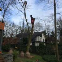 images/001-tuinaanleg-ettenleur/zeist/Zeist--soest-boom-rooien-hoveniersbedrijf-200x200-ea5