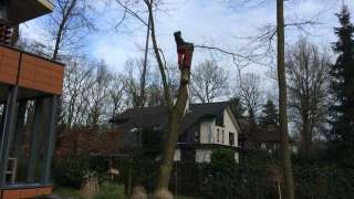 Bomen rooien Zeist 