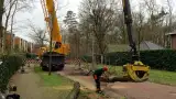 images/001-tuinaanleg-ettenleur/zeist/Zeist-boom-verwijderen-hovenier-160x90-1bb