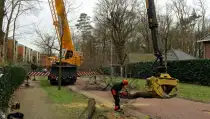 images/001-tuinaanleg-ettenleur/zeist/Zeist-boom-verwijderen-hovenier-210x119-b9a