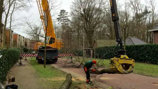 images/001-tuinaanleg-ettenleur/zeist/Zeist-boom-verwijderen-hovenier-510x287-d7f