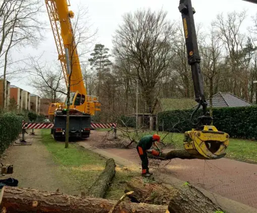 images/001-tuinaanleg-ettenleur/zeist/Zeist-boom-verwijderen-hovenier-510x424-054