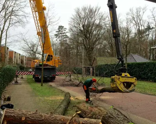 images/001-tuinaanleg-ettenleur/zeist/Zeist-boom-verwijderen-hovenier-530x424-9f4