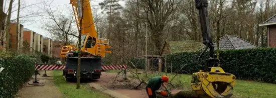 images/001-tuinaanleg-ettenleur/zeist/Zeist-boom-verwijderen-hovenier-550x197-d42