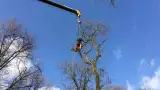 images/001-tuinaanleg-ettenleur/zeist/Zeist-hovenier-verwijderen-boom(1)-160x90-1bb