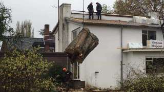 Verwijderen bomen in Zutphen