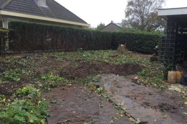 Bomen verwijderen Leersum