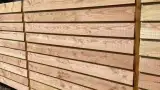 images/001-tuinaanleg-ettenleur/zweeds--potdeksel-planken-schutting/zweeds-rabat--douglashout-schutting-Vugt-Tilburg-160x90-6db
