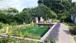 images/001-tuinaanleg-ettenleur/zwemvijver-herpen2/zwemvijver-breda-257x145-208