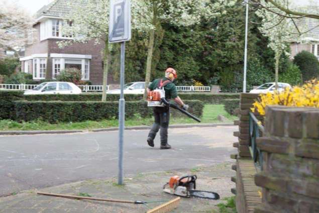 bomen vellen