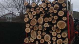 afvoeren van totaal 37.50 ton hout 
