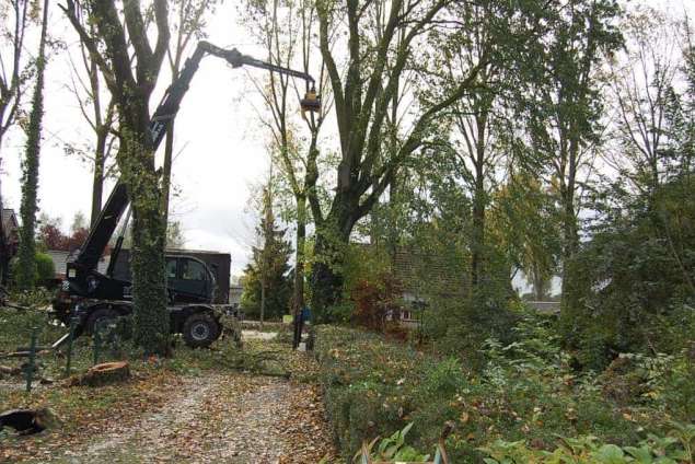 Bomen snoeien Dussen