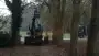 images/002tilburgronald/bomen-rooien-steenbergen-028-90x51-cc4