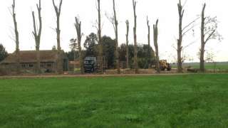 Populieren bomen rooien steenbergen