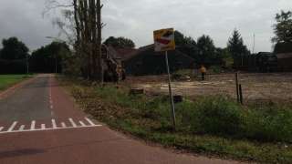 Populieren bomen rooien steenbergen