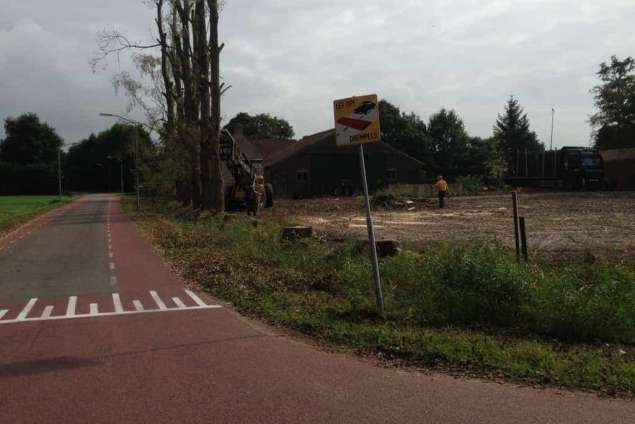 Populieren bomen rooien steenbergen