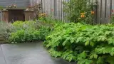 images/002tilburgronald/den-bosch-tuin-aanleggen-hovenier-(2)-160x90-2eb
