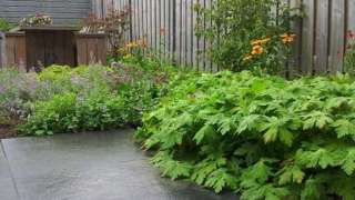 images/002tilburgronald/den-bosch-tuin-aanleggen-hovenier-(2)-320x180-a36