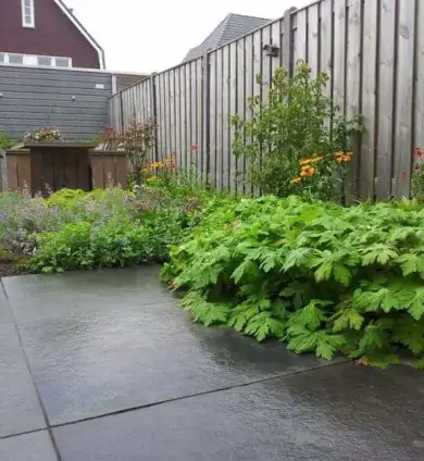 images/002tilburgronald/den-bosch-tuin-aanleggen-hovenier-(2)-390x424-ffb
