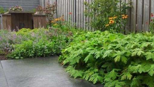 images/002tilburgronald/den-bosch-tuin-aanleggen-hovenier-(2)-510x287-3c4