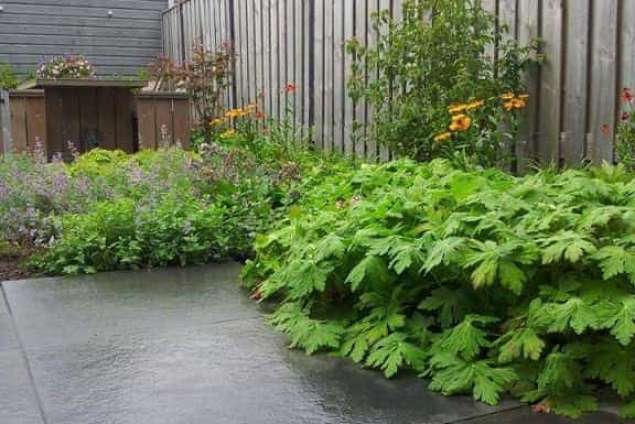 images/002tilburgronald/den-bosch-tuin-aanleggen-hovenier-(2)-635x424-ed2