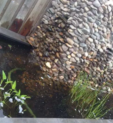 images/002tilburgronald/renovatie-s-hertogenbosch-hovenier-390x424-ffb