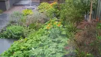 images/002tilburgronald/s-hertogenbosch-tuin-aanlegen-hovenier-210x119-114