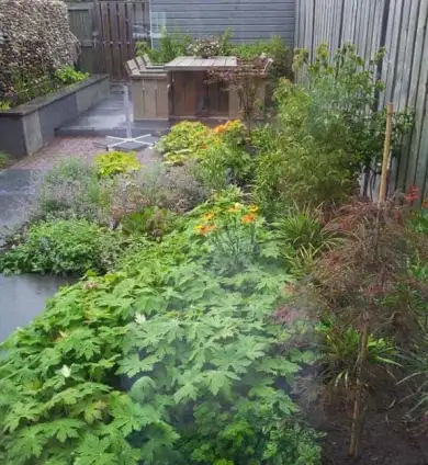 images/002tilburgronald/s-hertogenbosch-tuin-aanlegen-hovenier-390x424-ffb