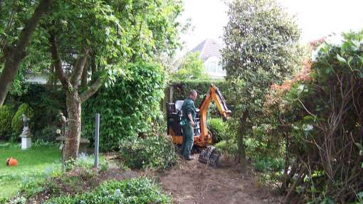 verwijderen van een oude coniferenhaag in Eindhoven 