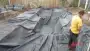 images/004regenwulp/16-90x51-2f8