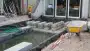images/004regenwulp/24-90x51-7a4