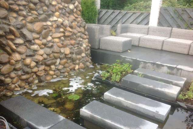 waterplanten in bakken, welke waterplanten zijn geschikt voor een strakke vijver. watermunt snoekkruid zwanenbloem gedoornhoornblad krabbescheer, dotterbloem gele lis 