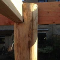 images/004regenwulp/acacia-palen-voor-overkapping--200x200-d6e