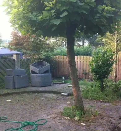 images/004regenwulp/leeg ruimen tuin in breda-390x424-cbd