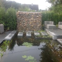 images/004regenwulp/strakke vijver met stapstenen heldere tuinontwerpen-200x200-d5a