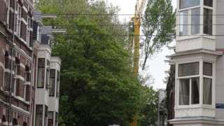 Amsterdam Bomen rooien
