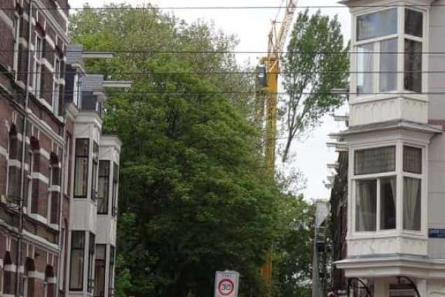 Amsterdam Bomen rooien