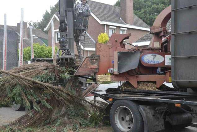 Coniferen haag verwijderen Beek