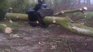 kappen, bomen rooien  met een kettingzaag. opruimen bomen, de bomen stonden in Oirschot op de oude Grintweg 88