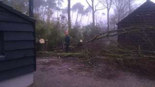 Nieuwdorp bomen rooien