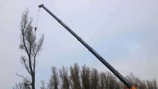 Heemserveen bomen rooien
