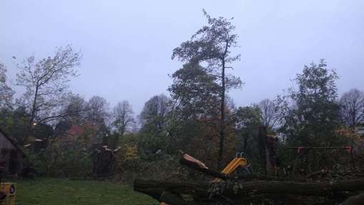 Lutten bomen rooien