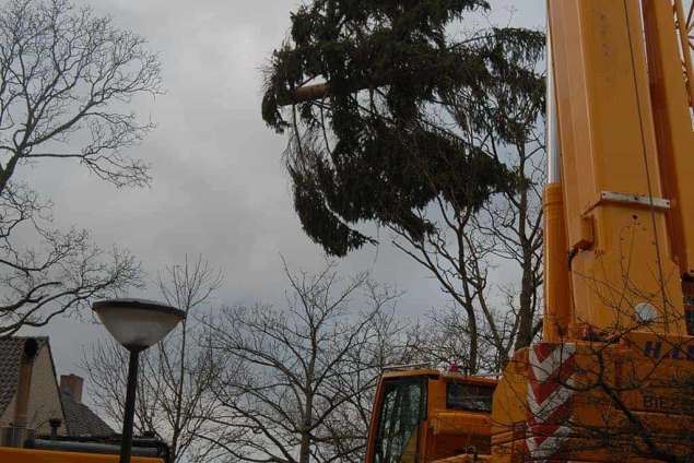 bomen rooien Lutten