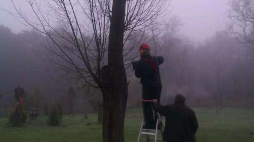Lierderholthuis bomen rooien