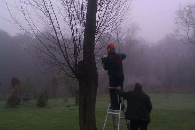 Lierderholthuis bomen rooien