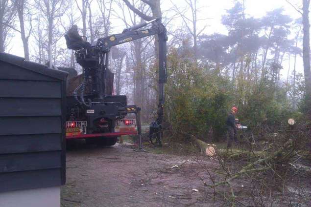 Luttenberg bomen rooien