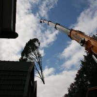 images/013hintham/slopen van bomen uit de achtertuin-200x200-d5a
