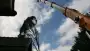 images/013hintham/slopen van bomen uit de achtertuin-90x51-2f8