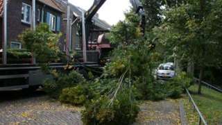 opruimen van takken en stamhout in Hintham Rosmalen ,snoeien en toppen van bomen